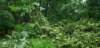 _064741_small.jpg