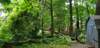 _064940_small.jpg