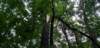 _065115_small.jpg