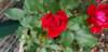 _102041_small.jpg