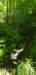 _102905_small.jpg