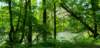 _102944_small.jpg