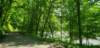 _102955_small.jpg