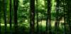 _103411_small.jpg
