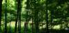 _103414_small.jpg