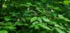 _104623_small.jpg