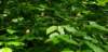 _104626_small.jpg