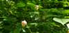 _104728_small.jpg