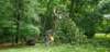 _115740_small.jpg