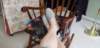 _124239_small.jpg