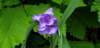 _152613_small.jpg