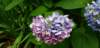 _163014_small.jpg