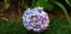 _163026_small.jpg