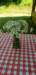 _163941_small.jpg