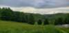 _174136_small.jpg
