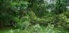 _064649_small.jpg