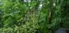 _064852_small.jpg