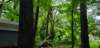 _065040_small.jpg
