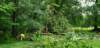 _094858_small.jpg