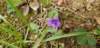 _153526_small.jpg