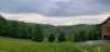 _174121_small.jpg