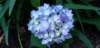 _193434_small.jpg
