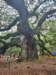 _142251_small.jpg