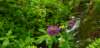 _135707_028_small.jpg