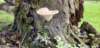_140419_small.jpg