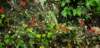 _141845_small.jpg