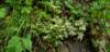 _141923_small.jpg