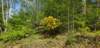 _160859_small.jpg