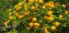 _160929_small.jpg