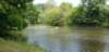 _125256_small.jpg
