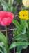 _112048_small.jpg