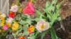 _150641_small.jpg