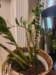 _160212_small.jpg