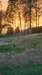 _193003_small.jpg