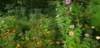 _163625_small.jpg