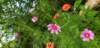 _163644_small.jpg