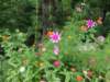 _163709_small.jpg