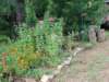 _163727_small.jpg