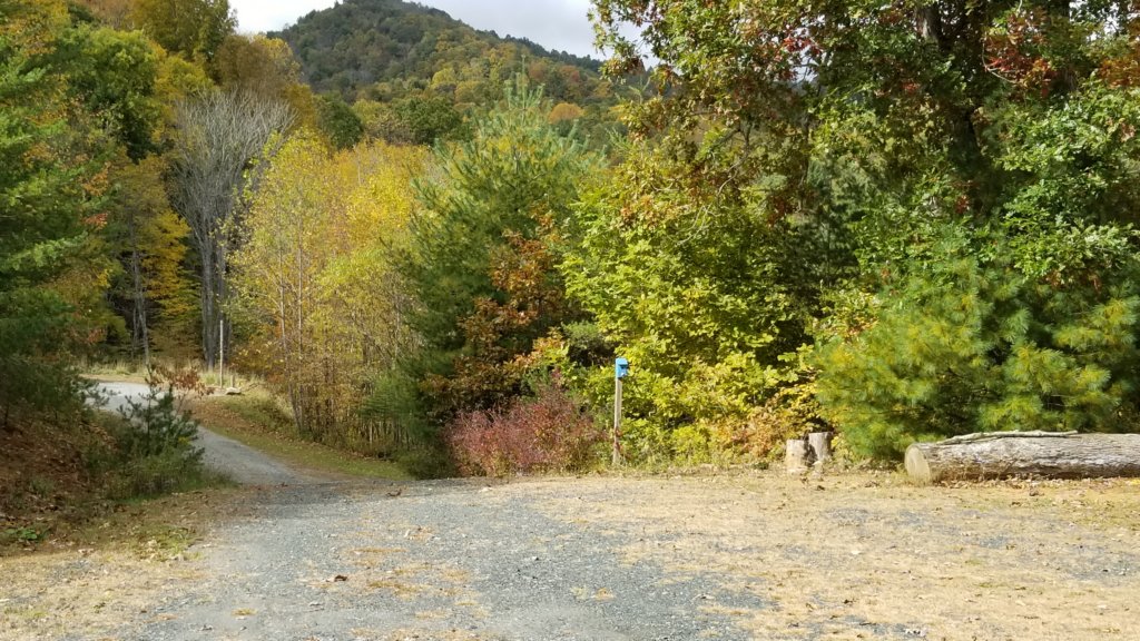 _112305.jpg