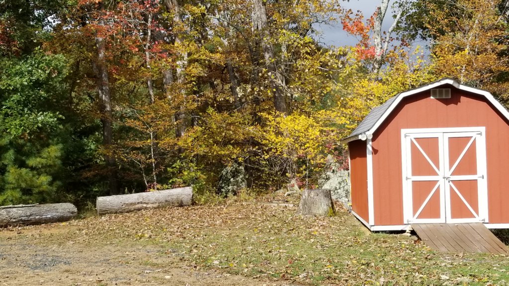 _112309.jpg