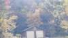 _154921_small.jpg