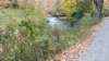 _160928_small.jpg