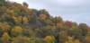 _174255_small.jpg