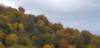 _174259_small.jpg