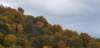 _174303_small.jpg