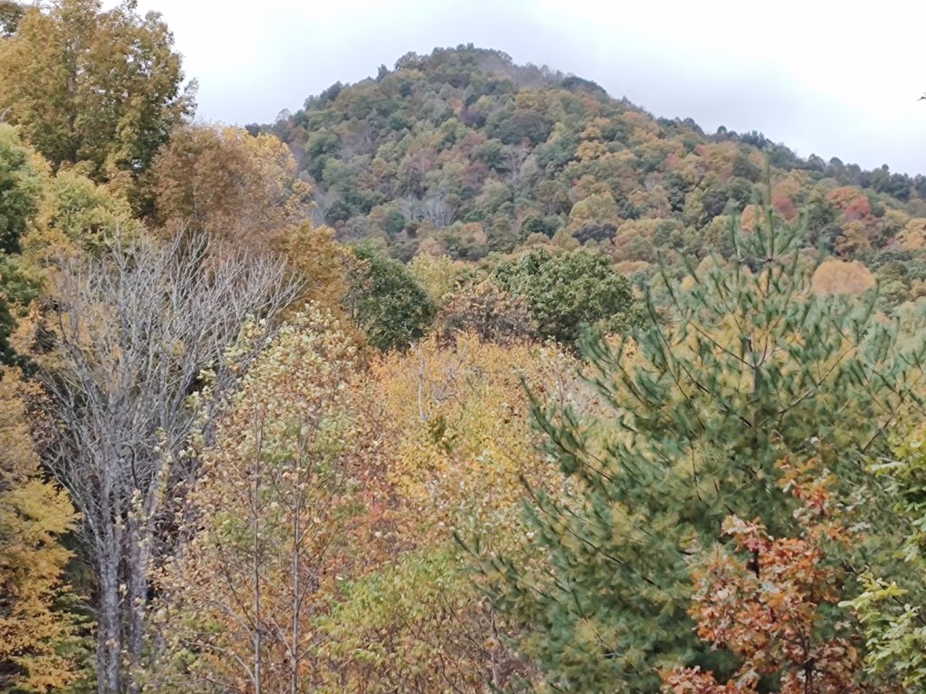 img_20231015_112339026.jpg
